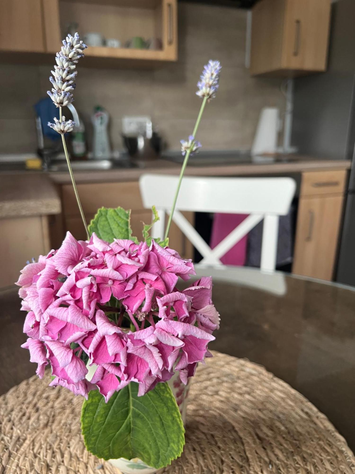 Auszeit Im Pott - Ferienwohnung Lavendel Herten  Bagian luar foto